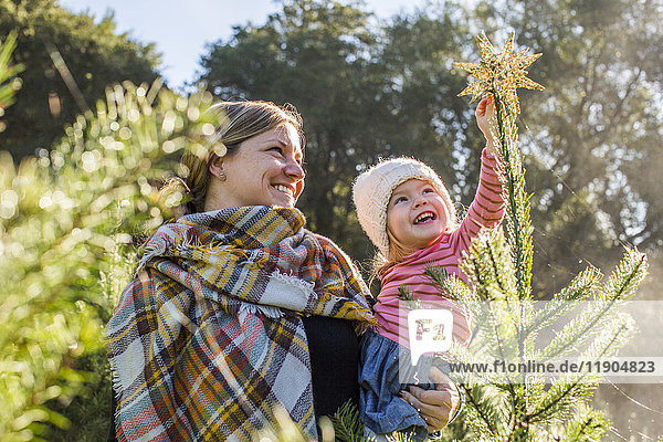 Kaukasische Mutter hilft ihrer Tochter  einen Stern auf die Spitze des Weihnachtsbaums zu setzen