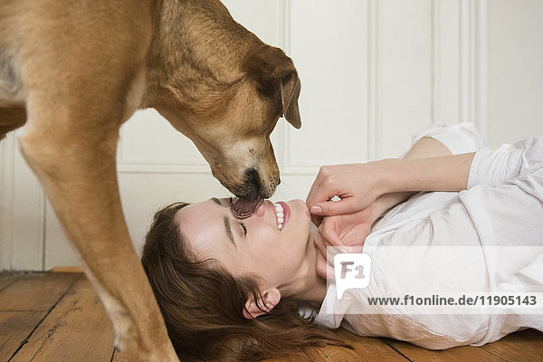 Hund leckt die Nase einer auf dem Boden liegenden kaukasischen Frau