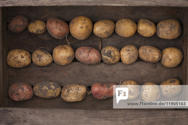 Kartoffeln in Holzkiste