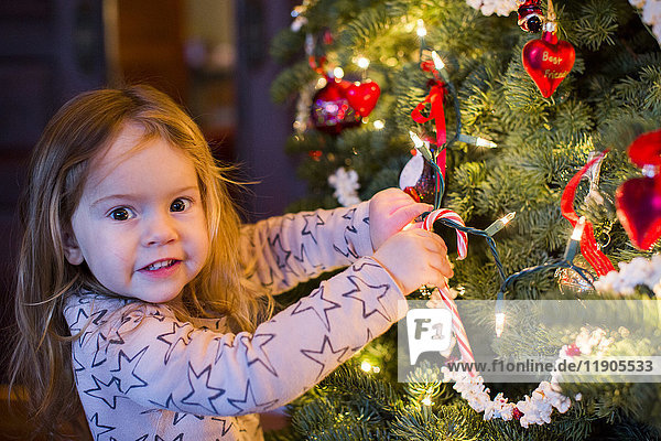 Kaukasisches Mädchen hängt Zuckerstange an Weihnachtsbaum