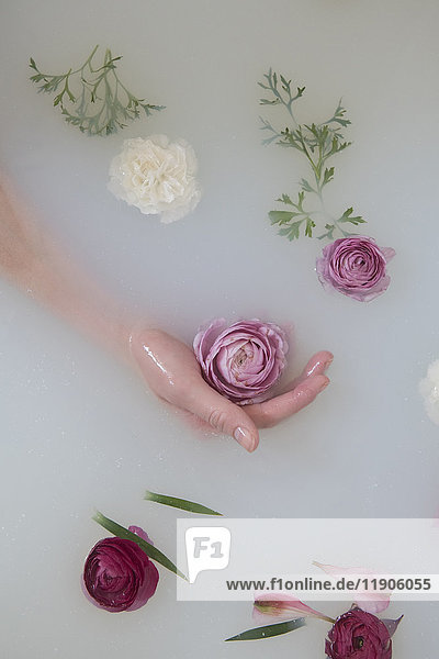 Hand einer kaukasischen Frau im Milchbad mit Blumen