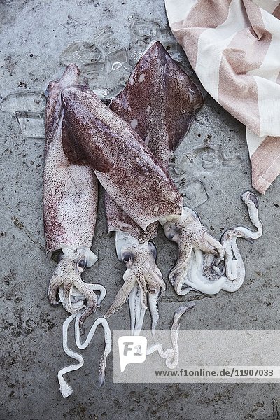Three raw squid on a stone background (top view)
