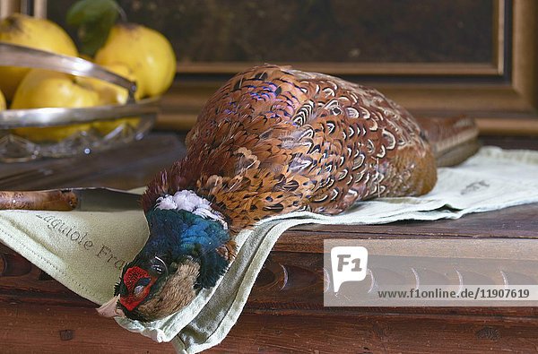 A dead pheasant and a bowl of quinces on a table
