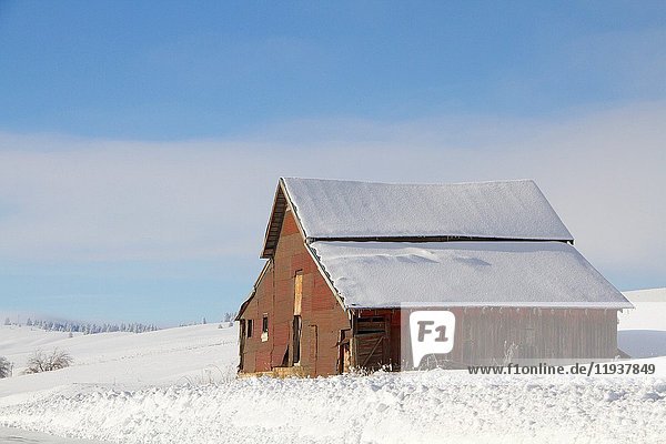 A barn in the Palouse in the winter near Fairfield  Washington  USA.
