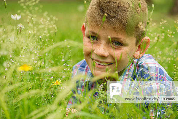 Junge im Feld der Wildblumen
