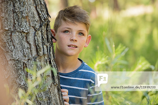 Junge lehnt sich an Baumstamm  schaut in Ehrfurcht auf.