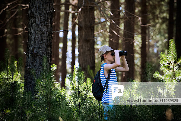 Junge schaut durch ein Fernglas im Wald.