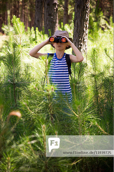Junge mit Fernglas im Wald