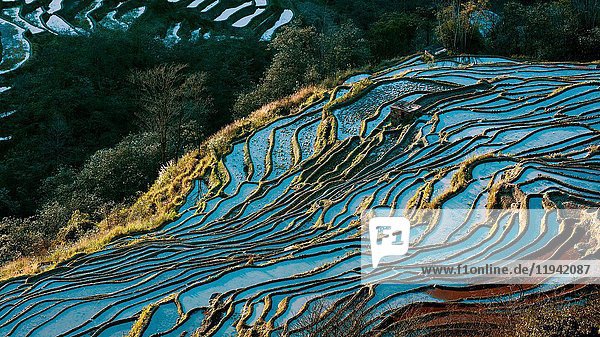 Yuanyang-Terrasse in der Provinz Yunnan  China