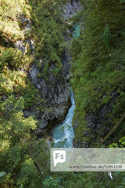 Deutschland Bayern Mittenwald Leutaschklamm