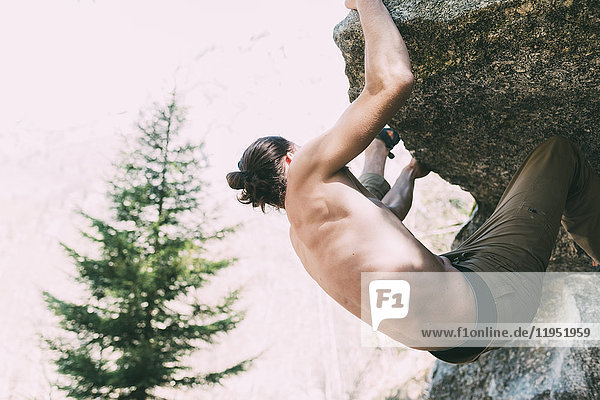 Bare chested male boulderer climbing boulder  Lombardy  Italy