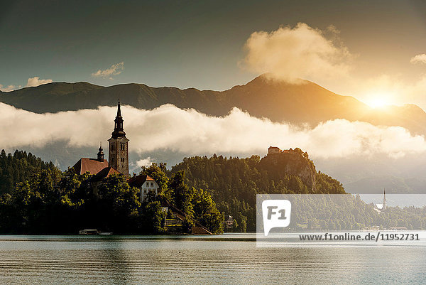 Ansicht der Kirche auf der Insel Bled  Bleder See  Slowenien