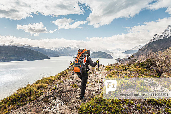 Rückansicht einer Wanderin  die am Grey-Gletschersee entlang wandert  Torres del Paine Nationalpark  Chile