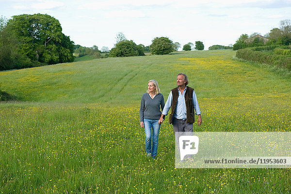 Man and woman walking hand in hand across a meadow.