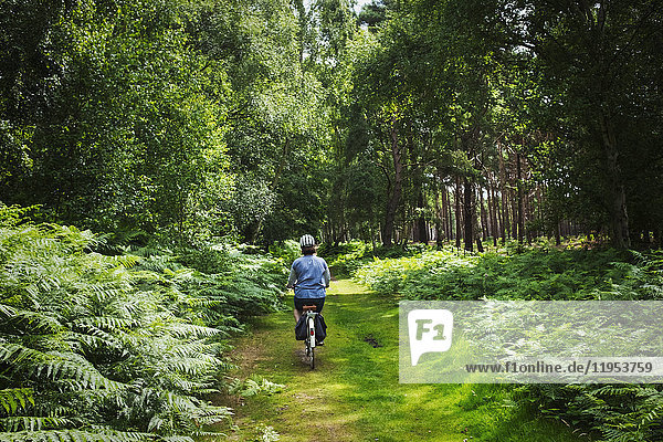 Rear view of woman cycling along forest path under a green tree canopy  on a path lined with ferns.