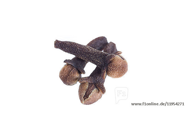 closeup Spice cloves on a white background