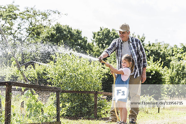 Großvater und Enkelin in der Gartenbewässerung