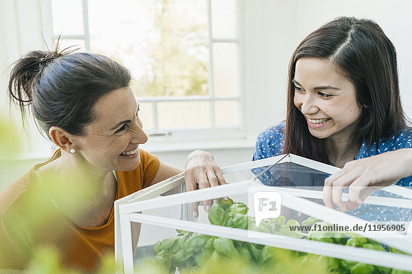 Zwei Frauen  die sich um Kräuter in einer Glasbox kümmern.