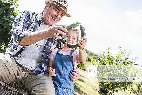 Glücklicher Großvater und Enkelin mit Gurken im Garten
