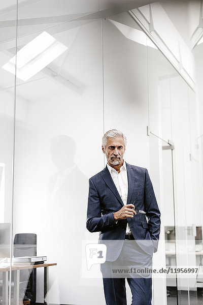 Portrait of serious mature businessman in office