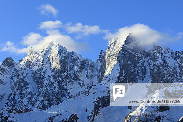 Felsgipfel Badile und Cengalo mit Schnee bedeckt im Frühling  Soglio  Bergell  Kanton Graubünden  Schweiz  Europa