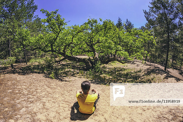 Ukraine  Gebiet Dnepropetrowsk  Bezirk Nowomoskowsk  Mann sitzend auf Sand vor einer Eiche (Quercus)