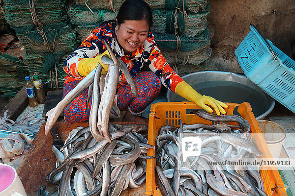 Frau sortiert fangfrischen Fisch  Fischmarkt Vung Tau  Vietnam  Indochina  Südostasien  Asien