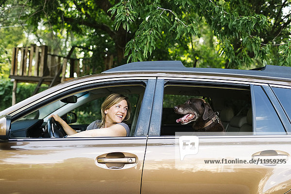 Frau und Labrador Retriever sitzen im Auto