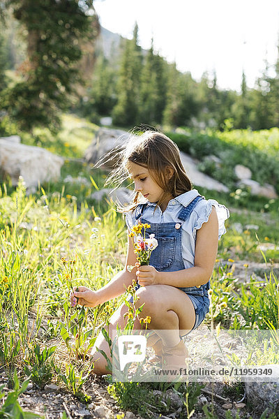 Mädchen (8-9) pflückt Wildblumen auf einer Wiese