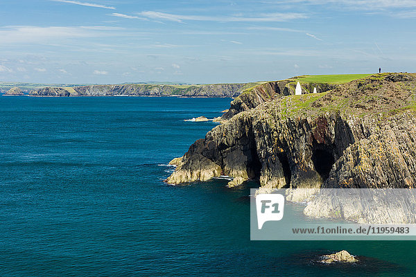 Ein einsamer Wanderer hoch oben auf den Klippen  die sich an einem ruhigen Sommertag kilometerweit entlang des Küstenpfads von Pembrokeshire erstrecken  Wales  Vereinigtes Königreich  Europa