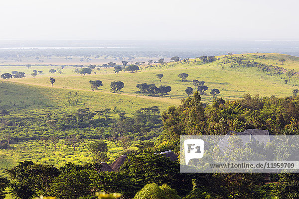 Queen Elizabeth National Park  Uganda  Afrika