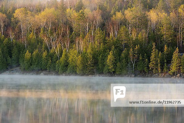 Early spring morning mists on Simon Lake  Greater Sudbury  Ontario  Canada.