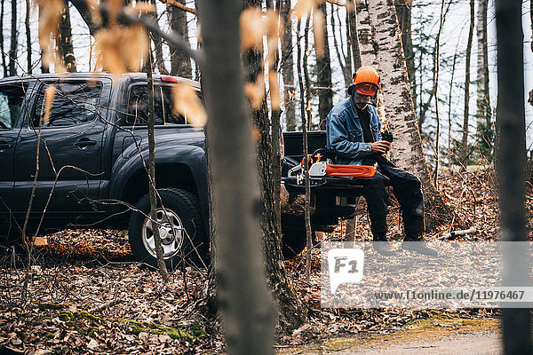 Männlicher Holzfäller mit Schutzhandschuhen auf einem Pick-up im Herbstwald