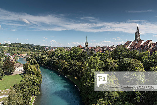 Erhöhte Ansicht der baumbestandenen Aare  Bern  Schweiz  Europa
