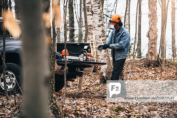 Holzfäller zieht im Herbst im Wald Schutzhandschuhe an