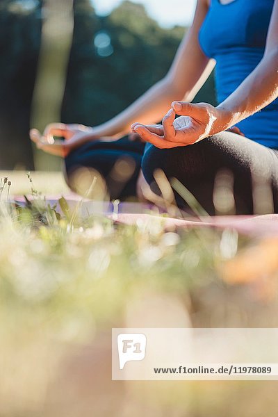 Mature woman in park  sitting in yoga position  low angle view
