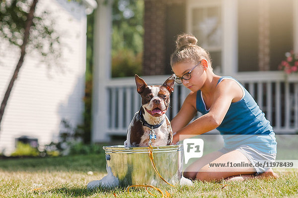 Girl washing dog in bucket