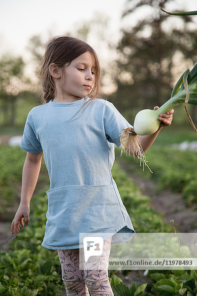 Junges Mädchen auf dem Bauernhof  mit frisch gepflückter Zwiebel