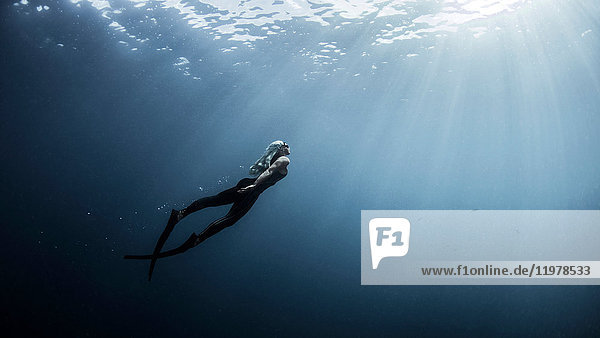 Unterwasseransicht einer Freitaucherin  die sich auf Sonnenstrahlen zubewegt  Neue Vorsehung  Bahamas