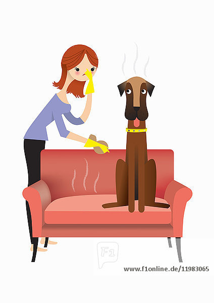 Frau nähert sich stinkendem Hund auf Sofa mit Tuch und Gummihandschuhen