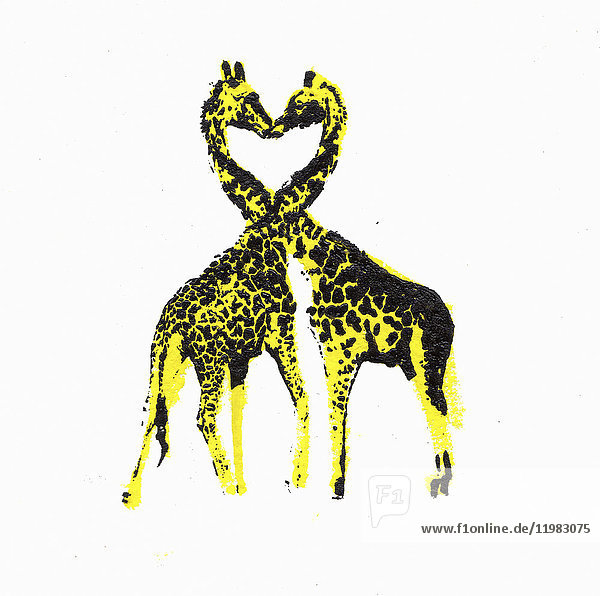 Zwei Giraffen von Angesicht zu Angesicht mit Hälsen in Herzform