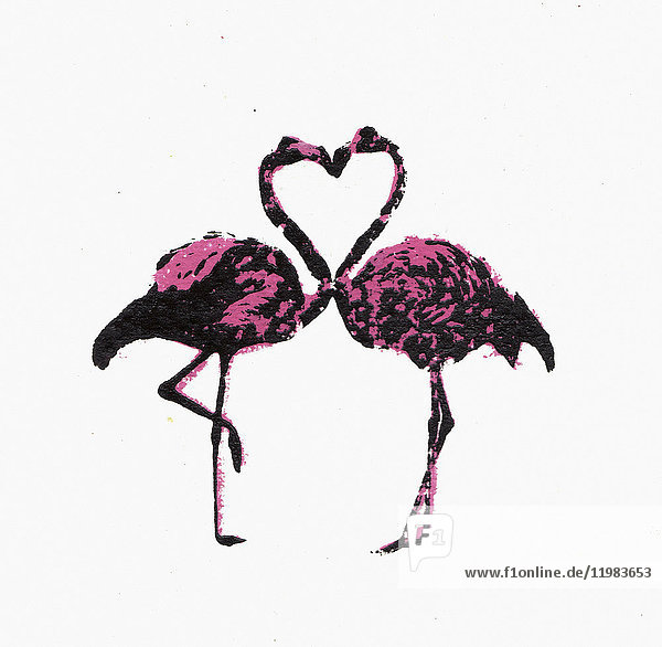 Zwei Flamingos von Angesicht zu Angesicht mit Hälsen in Herzform