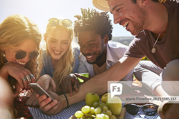 Junge Freunde texten mit dem Handy und genießen ein sonniges Sommerpicknick.