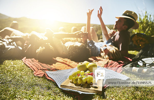 Junge Freunde beim Picknick  entspannen im sonnigen Sommerpark
