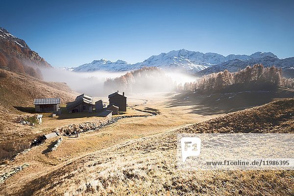 Morning fog on the mountain huts of Buaira framed by snowy peaks Sils Maloja Canton of Graubünden Engadine Switzerland Europe.