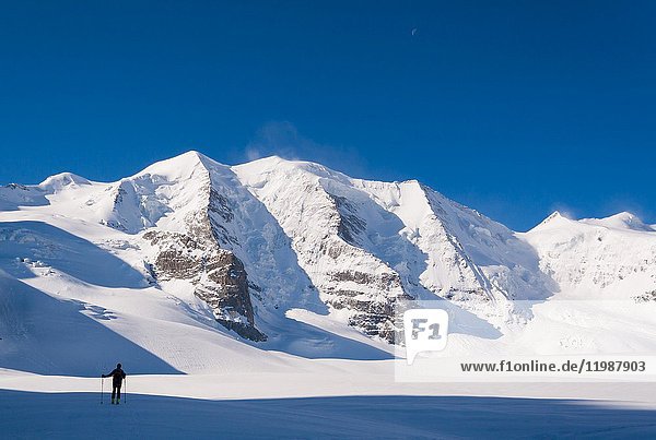 Skier climbing Piz Palù Bernina group Engadin Graubunden Switzerland.