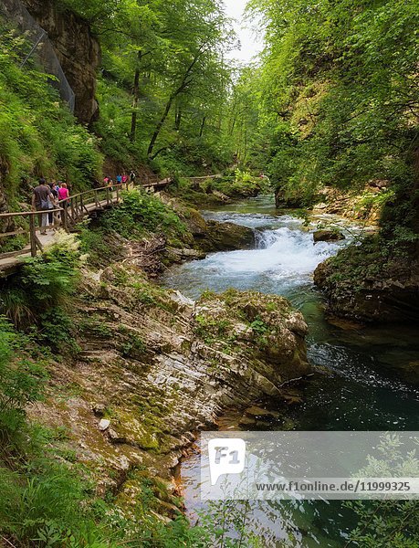 The Radovna river cutting through Vintgar Gorge near Bled  Slovenia  Visitors walk on wooden walkways