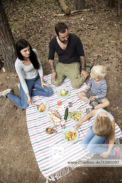Family having a picnic in forest