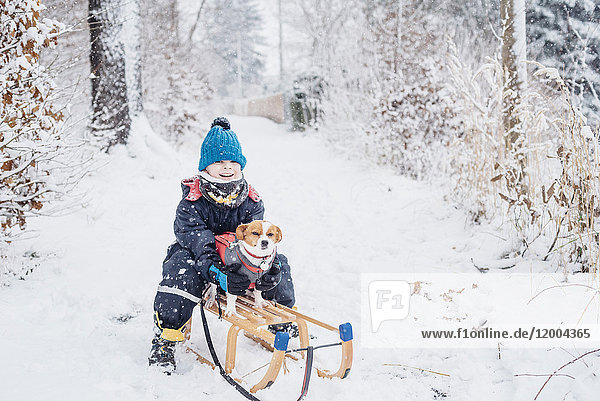 Little boy with his dog on a sledge in snow