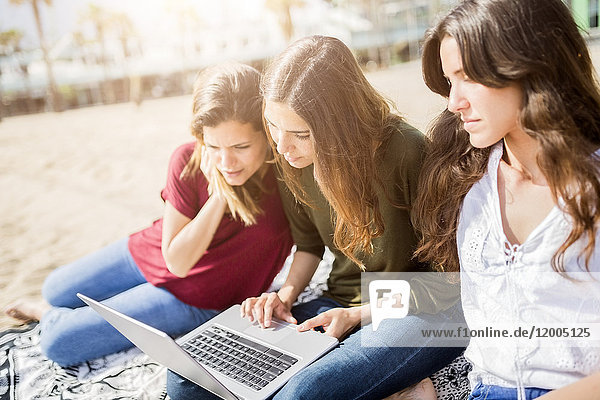 Three female friends using a laptop on the beach
